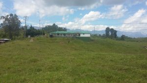 TERRENO EN FILANDIA